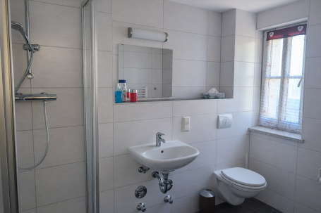 Badezimmer mit Dusche, Waschbecken, Toilette und Fenster.