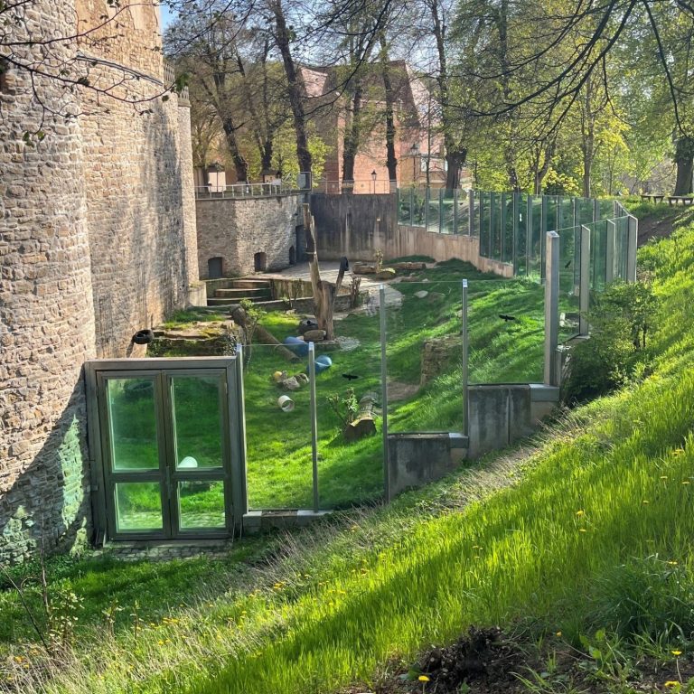 Bärengehege Droyßig